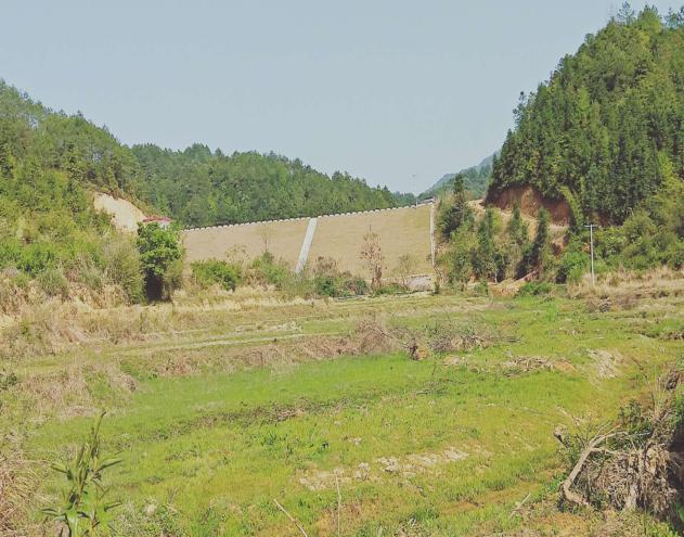 江西信丰县大桥镇赖如坑水库续建工程